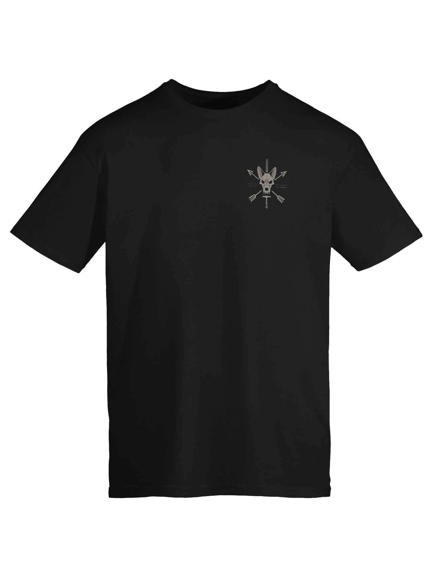 Gildan Unisex Softstyle T-Shirt - 24th STS product image (5)