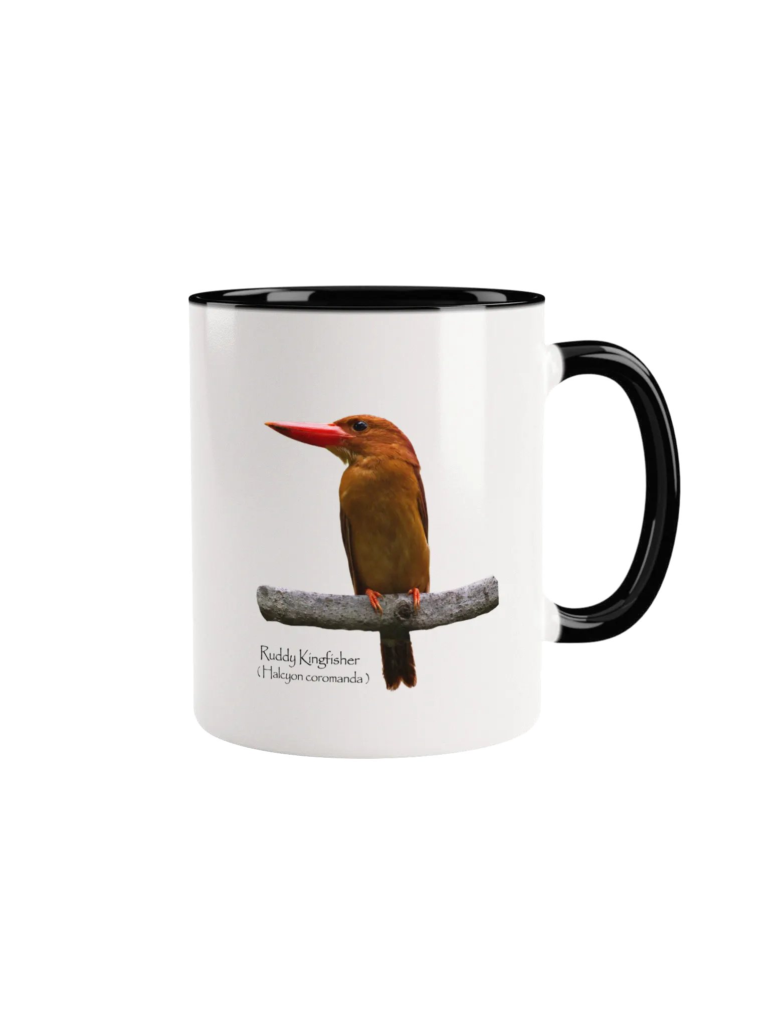 Ruddy Kingfisher mug product image (5)