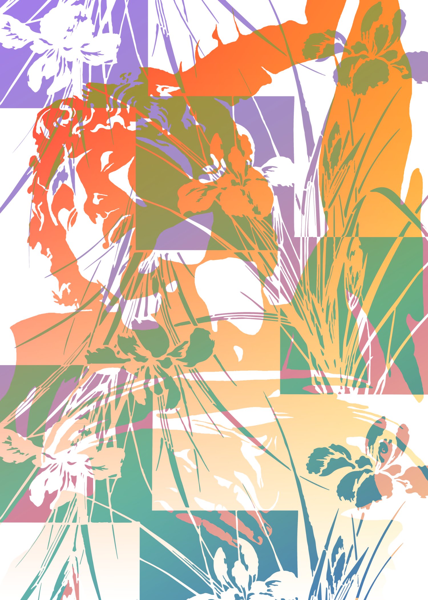 Sunrise Michelangelo on Irises - Print product image (1)