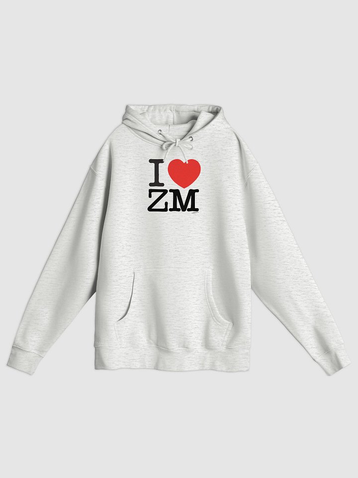 FUTILE DEVICE: I HEART Zohran Mamdani (pullover hoodie) product image (1)