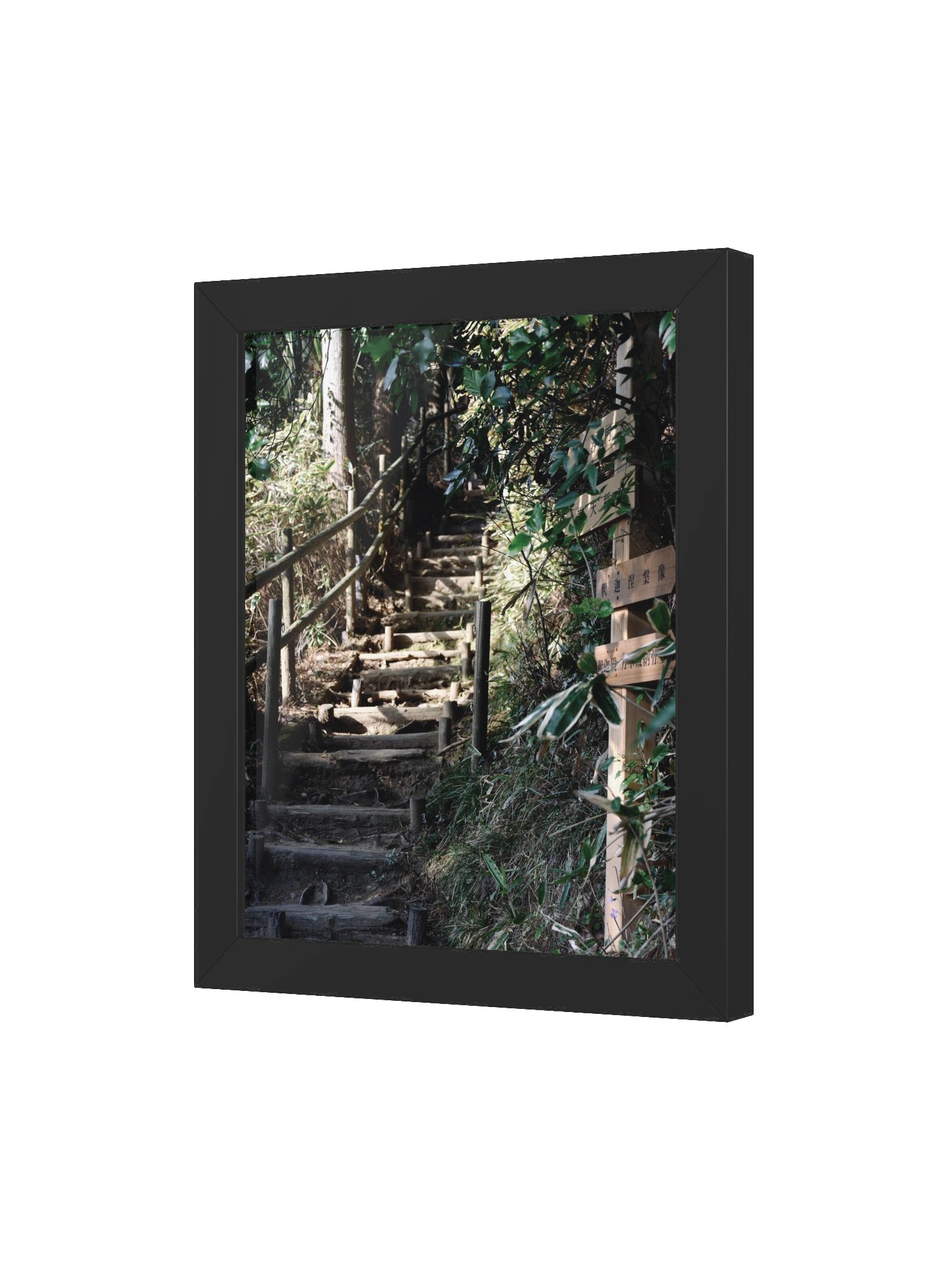 Japanese Forest product image (47)