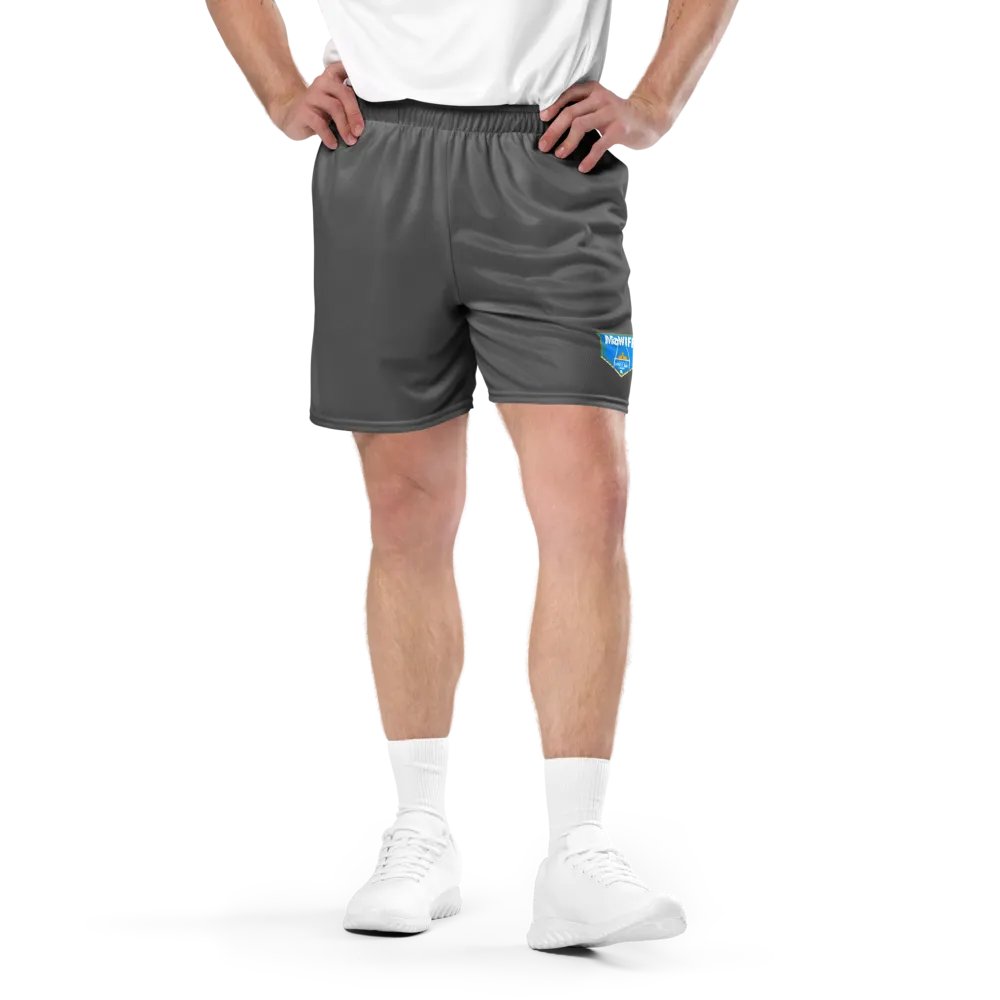 Main Logo Mesh Shorts (Grey) product image (1)