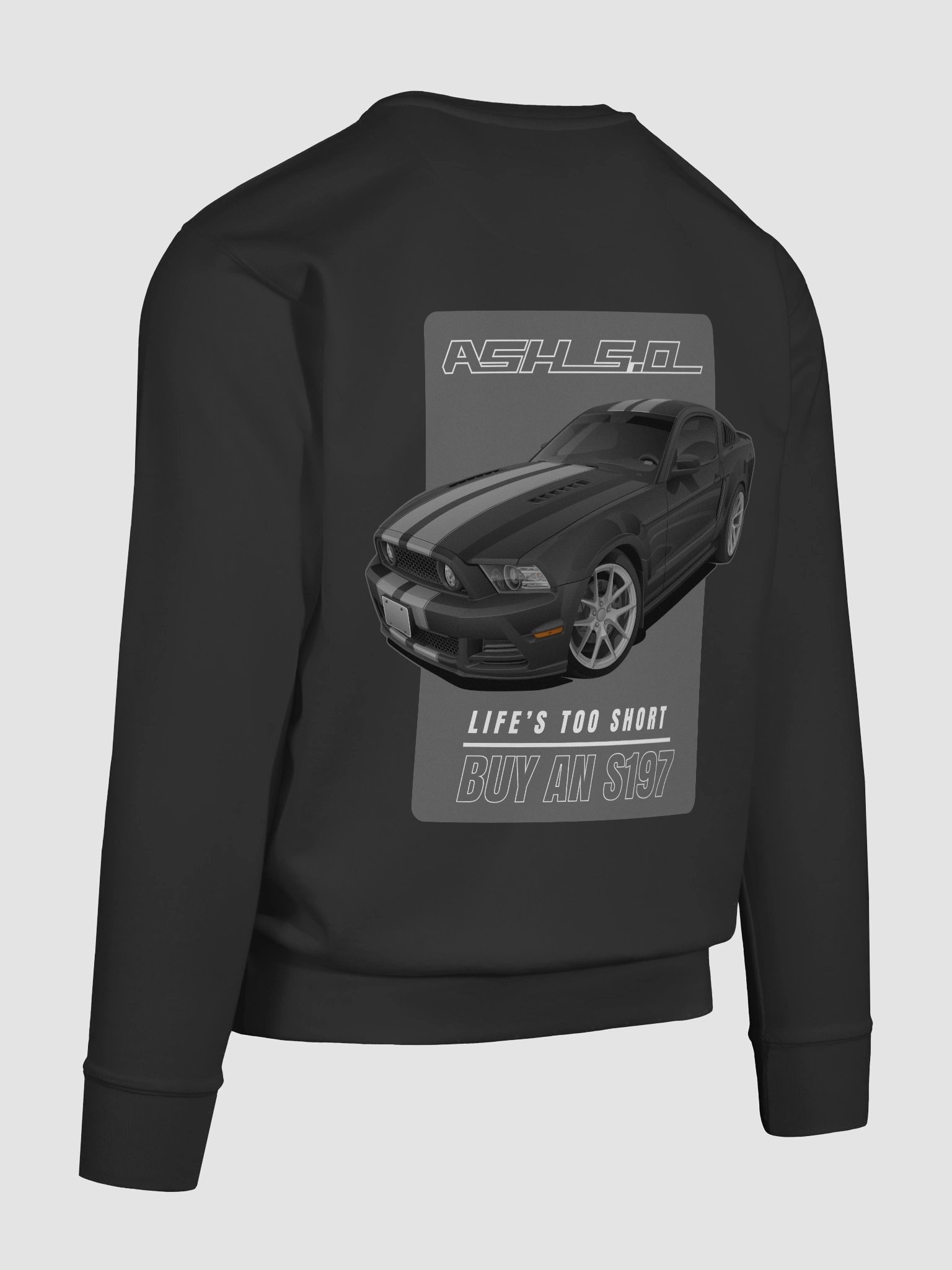 Sweatshirt - Ashton's S197 product image (58)