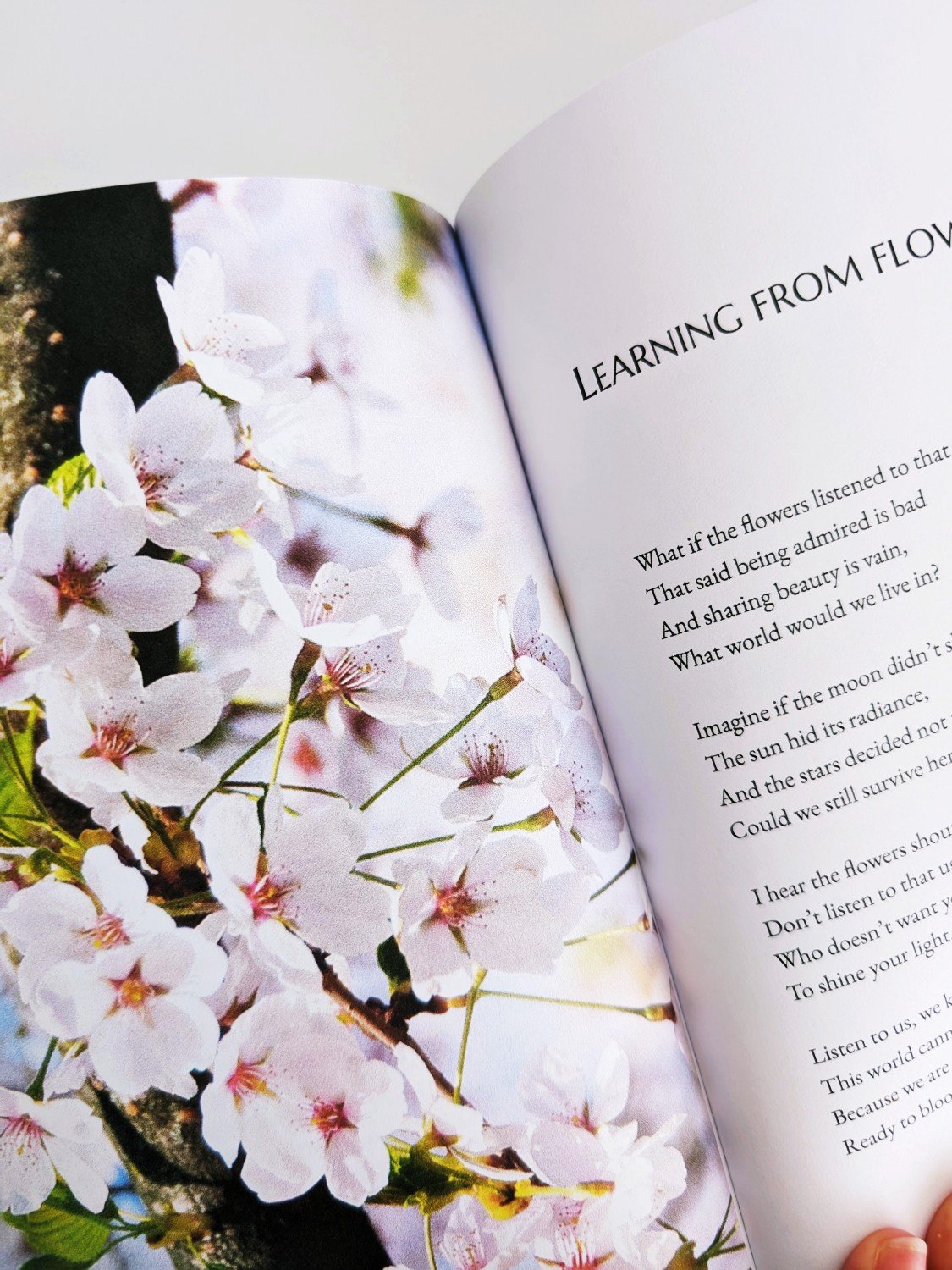Poignant Landscapes (Hard Cover) product image (2)