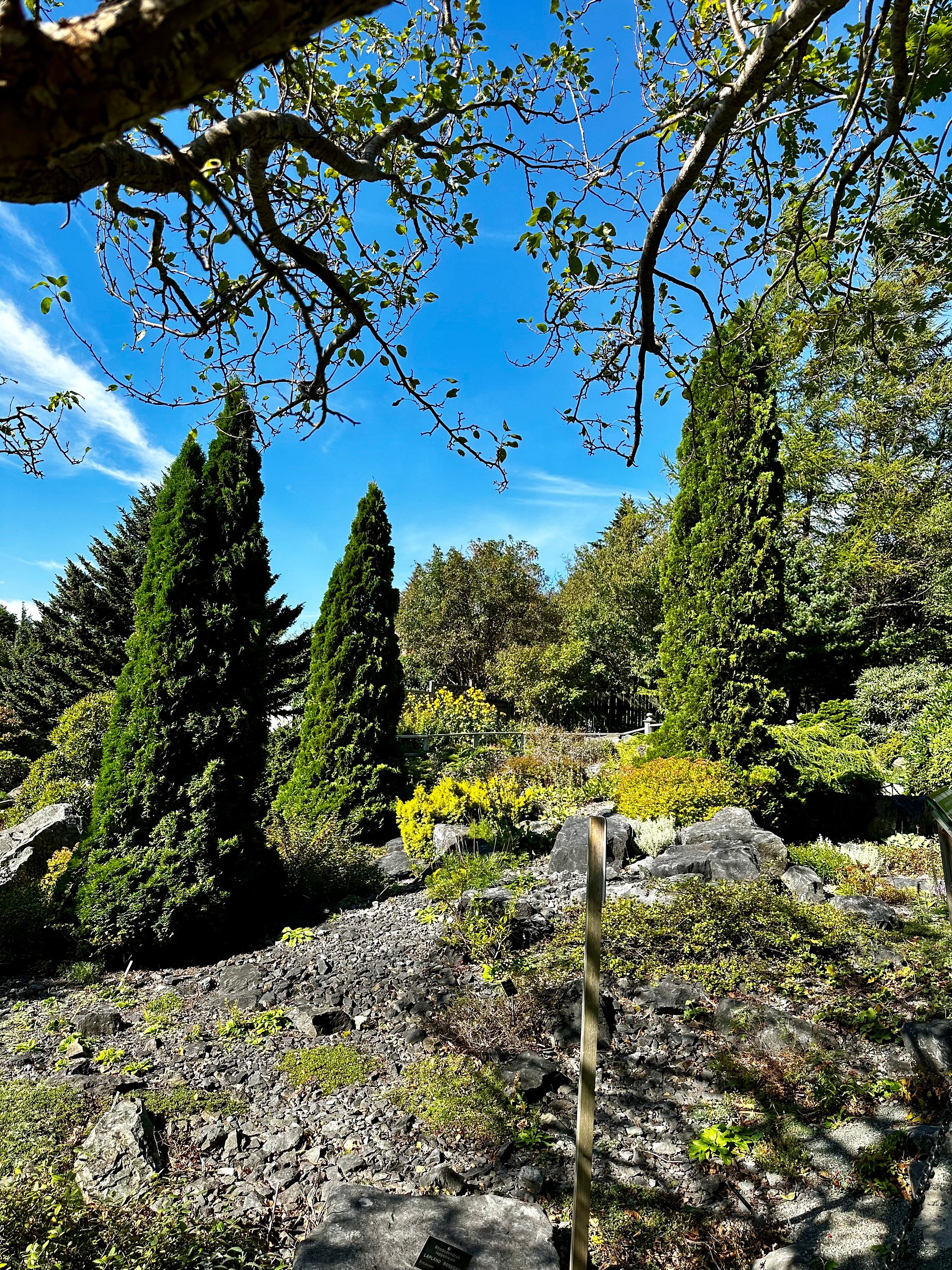 easy & fun landscape drawing workshop! live call + reference pdf product image (3)