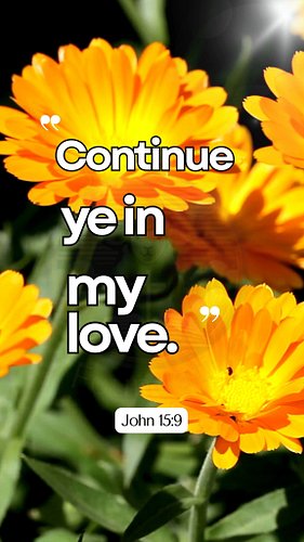 Abide in God’s Love
💛🤍💛🤍💛🤍💛🤍💛🤍💛🤍💛🤍
John 15:9 — “Continue ye in my love.”
#BibleVerses #DailyBibleVerse #GodsWord #Christian #...