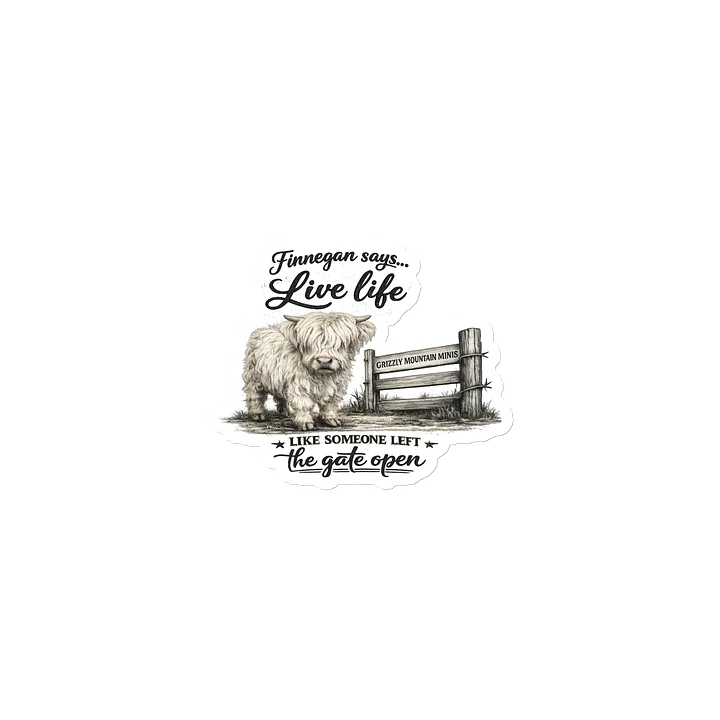 Finnegan Says… Live Life Magnet Collection product image (1)