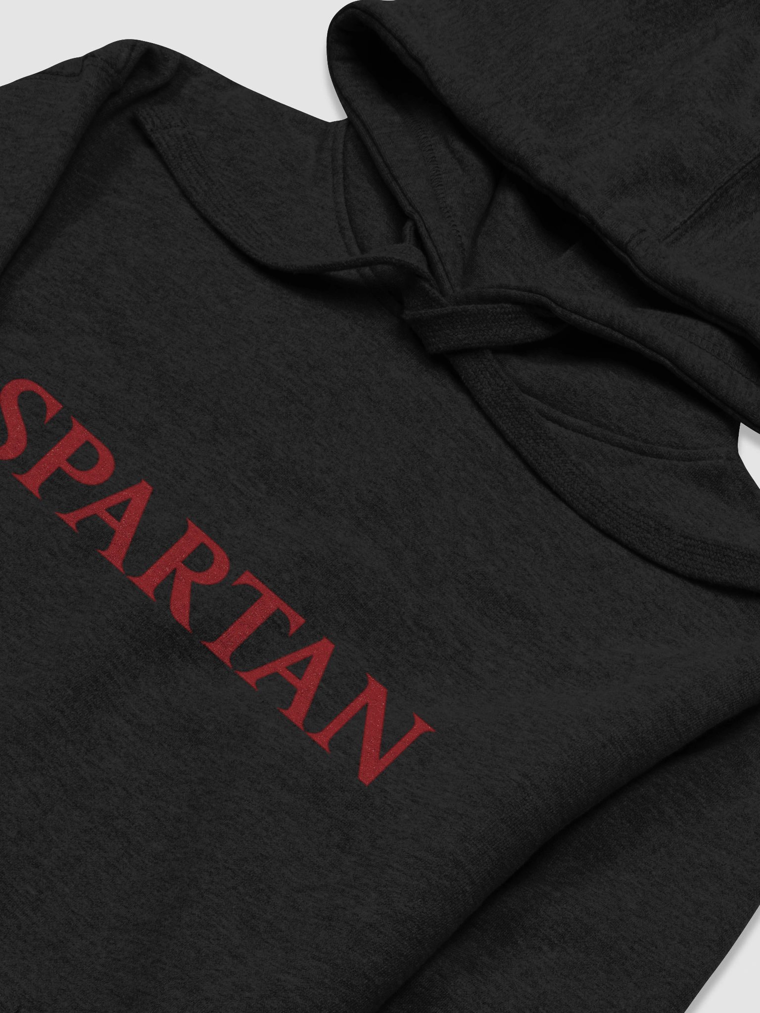SPARTAN Legacy Hoodie product image (3)