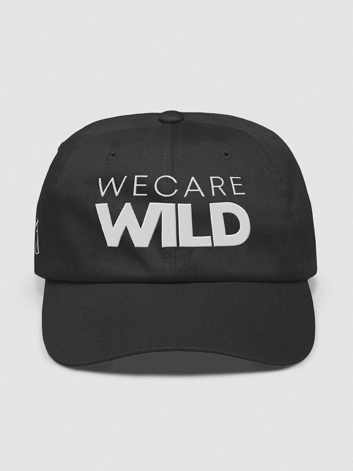 Dad Hat product image (7)