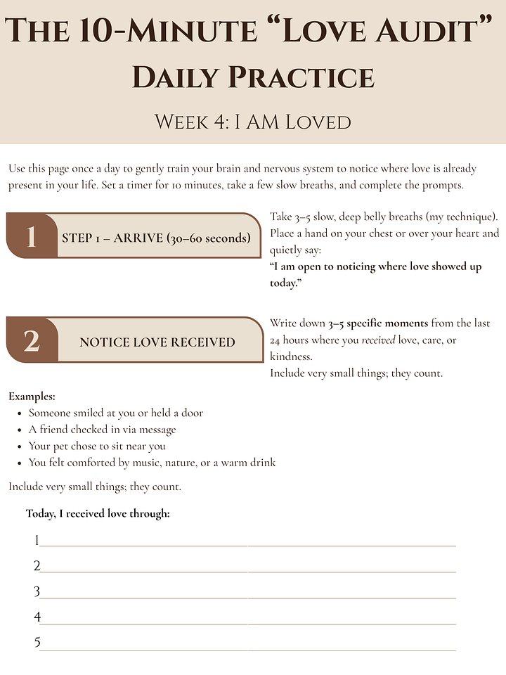 Love Audit product image (1)