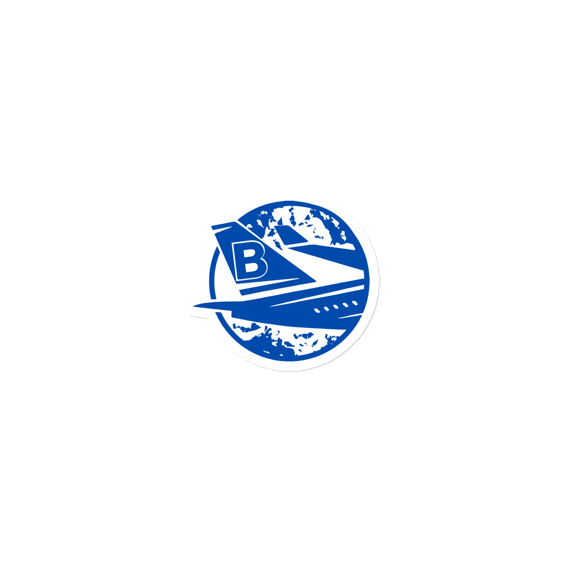 BehindTheSkies Logo Magnet product image (1)