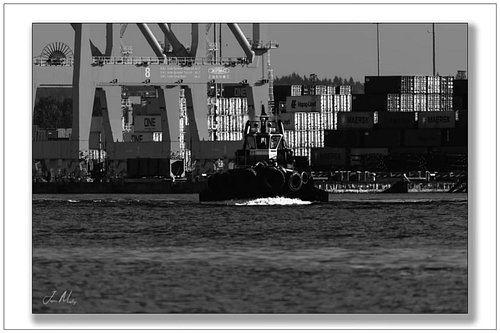 Steel, shadows, and movement. Tug Bo Brusco cutting through the Port of Tacoma under towering cranes.
Www.jasonmosleyphotogra...