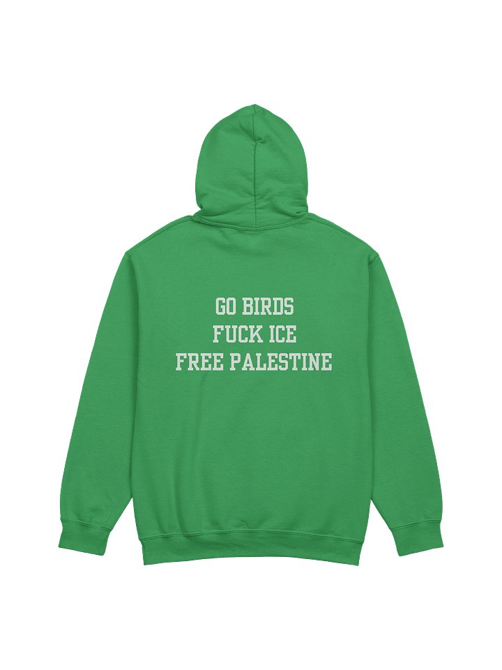 Go Birds, Fuck Ice, Free Palestine - Hoody product image (1)