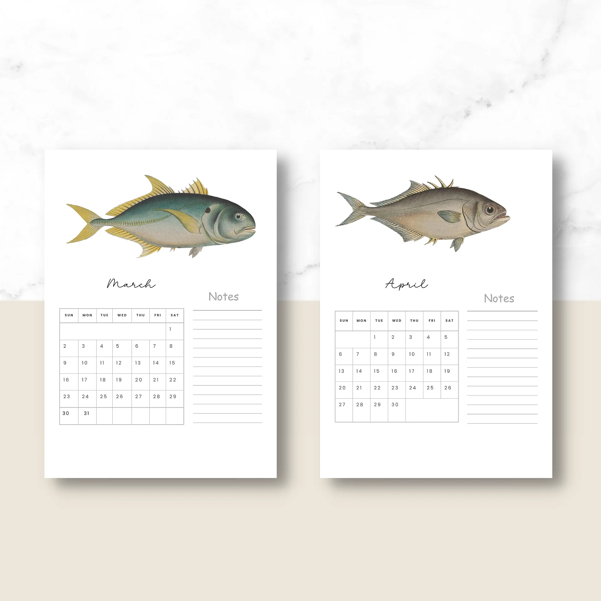 2025- 2026 PDF Calendar: Ocean Life product image (3)