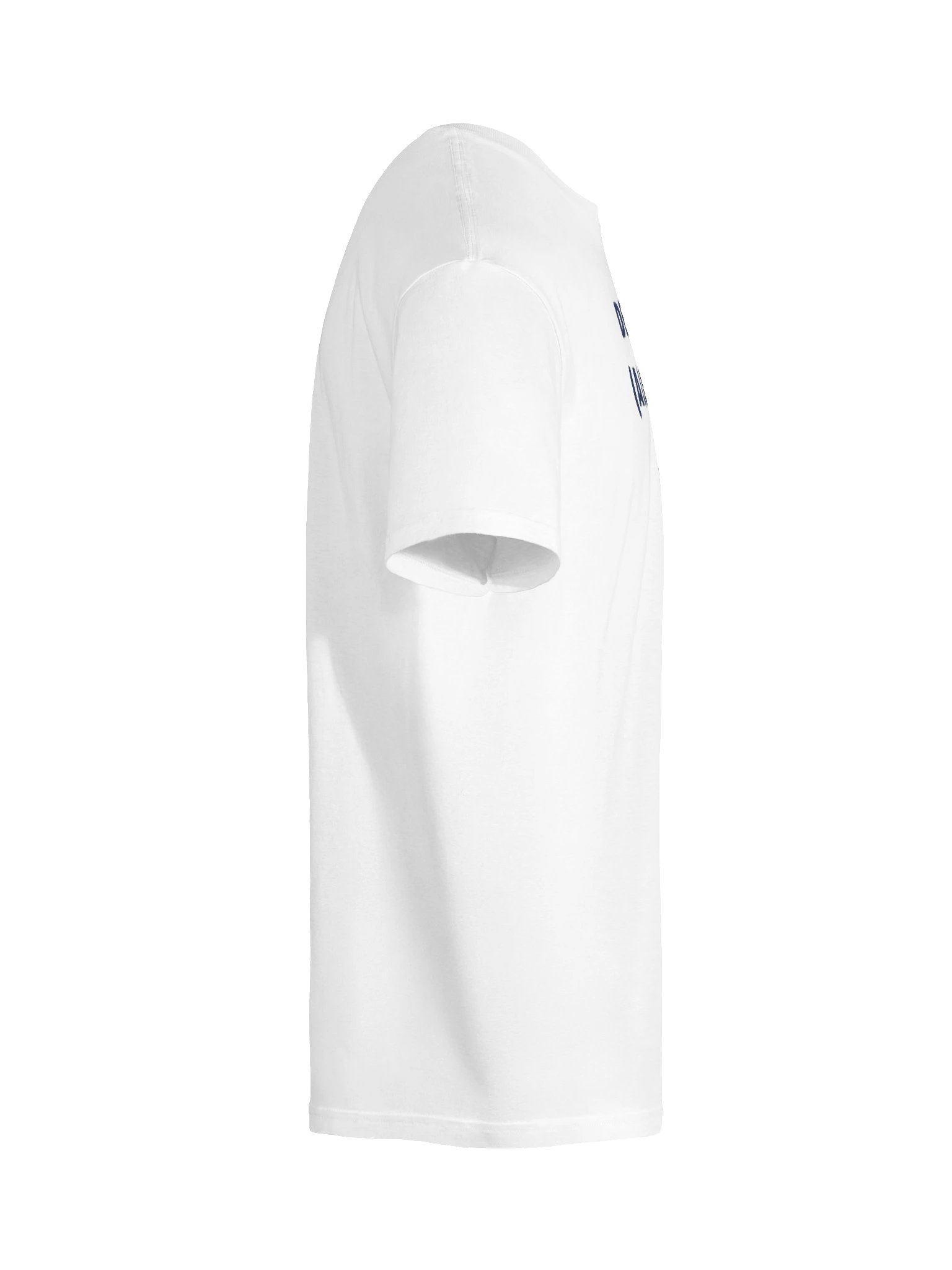 Delivered (Allegedly) Tee — Light product image (73)