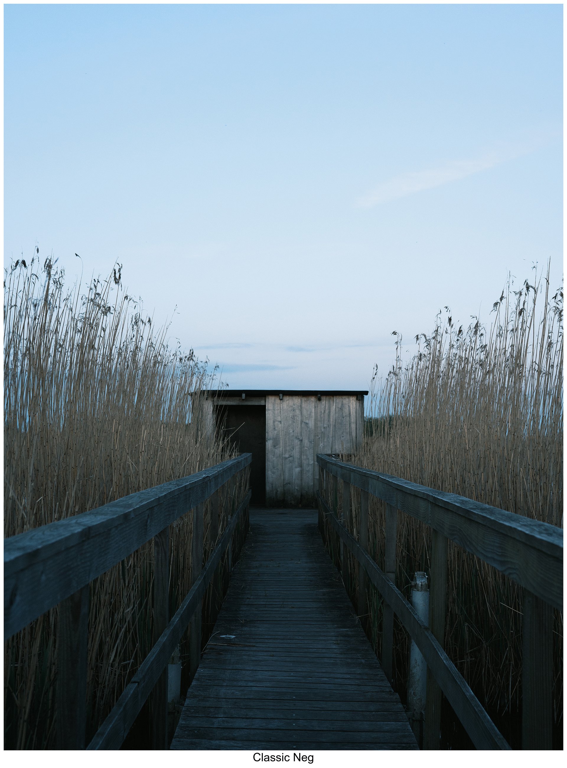 Fujify [Nikon] Lightroom Profiles - Essential Pack product image (4)