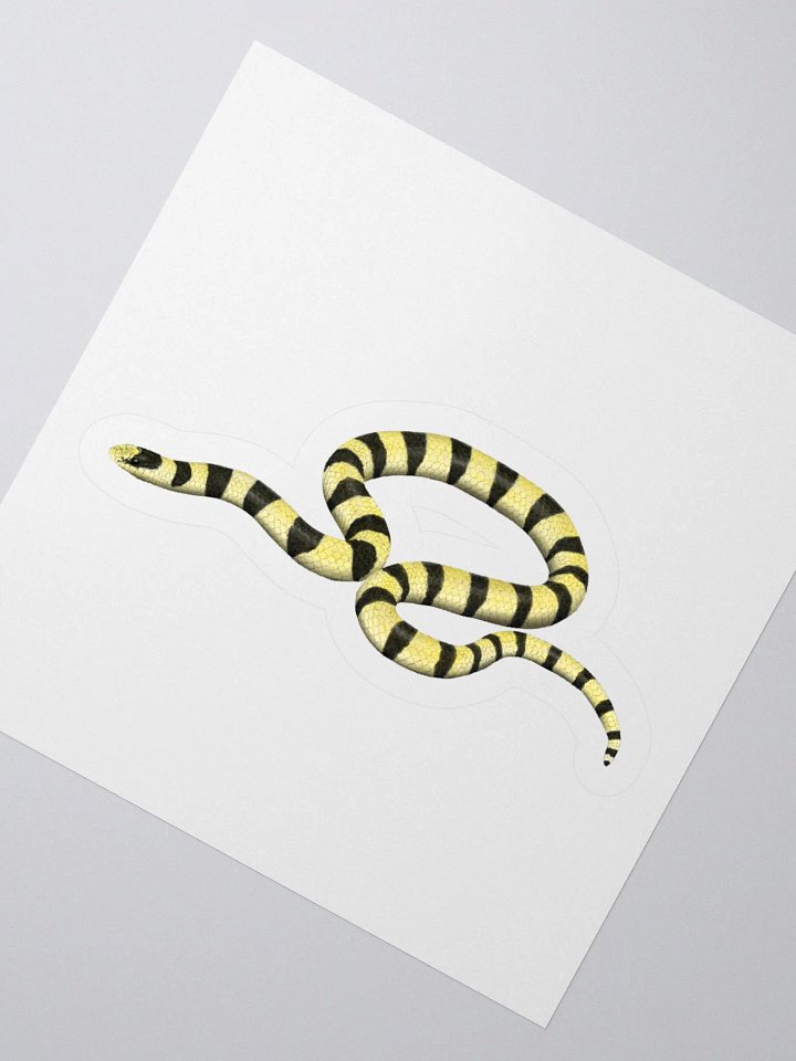 Die-Cut Sticker – Resplendent Shovelnosed Snake (Mohave Phase) product image (2)