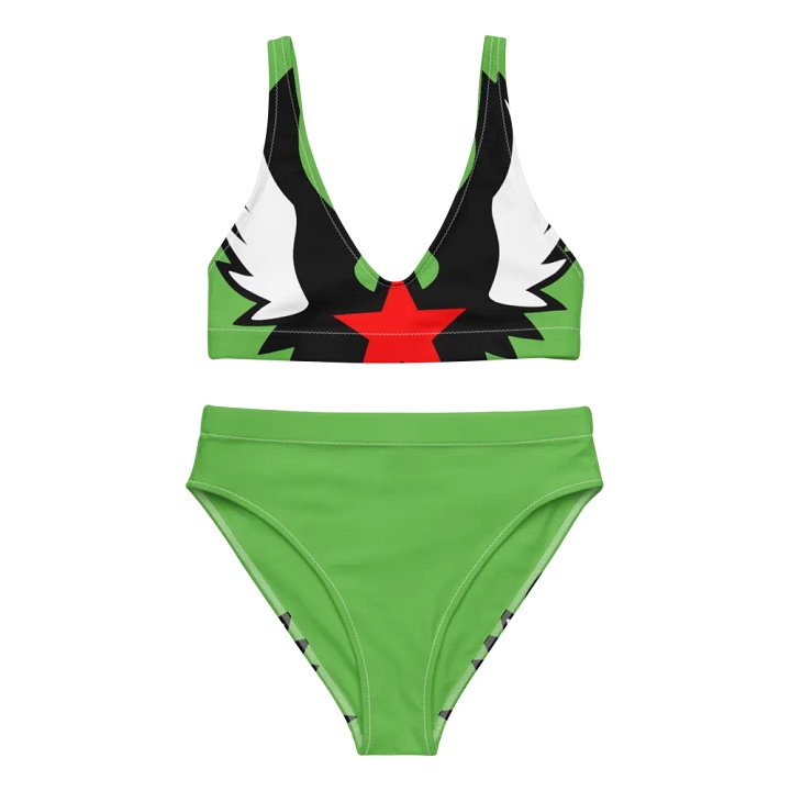 Symmetrical Star Wings High-Waisted Bikini product image (1)