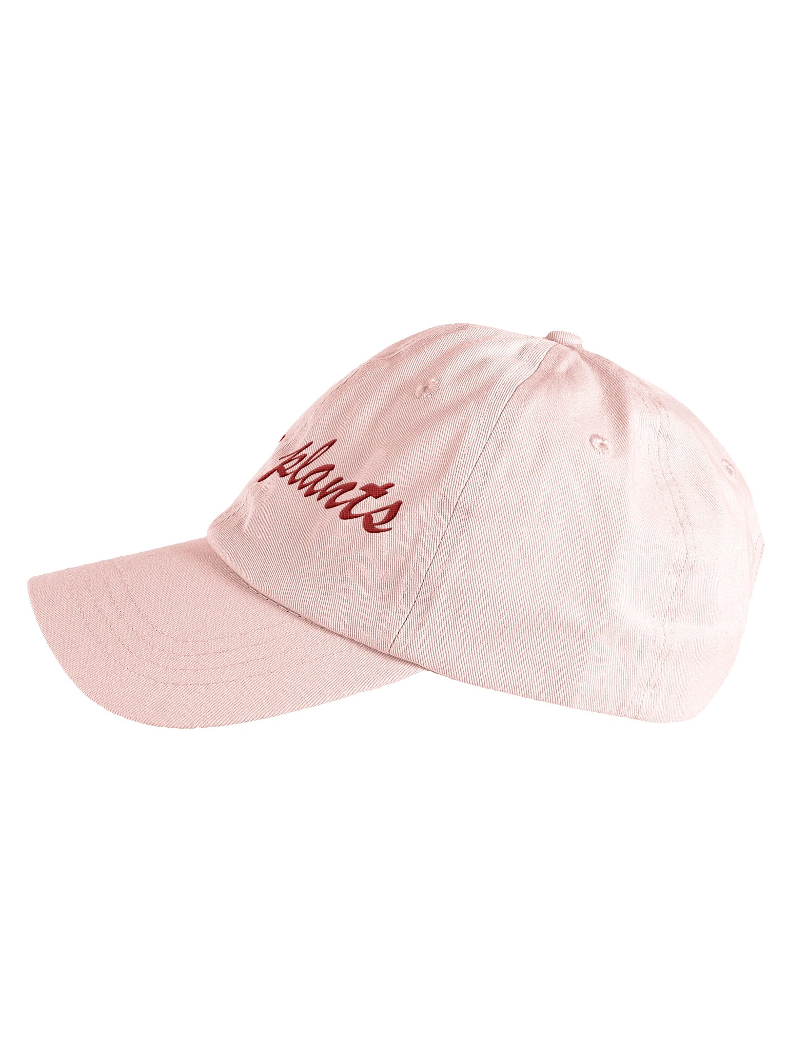 Native Plants Embroidered Dad Hat product image (3)