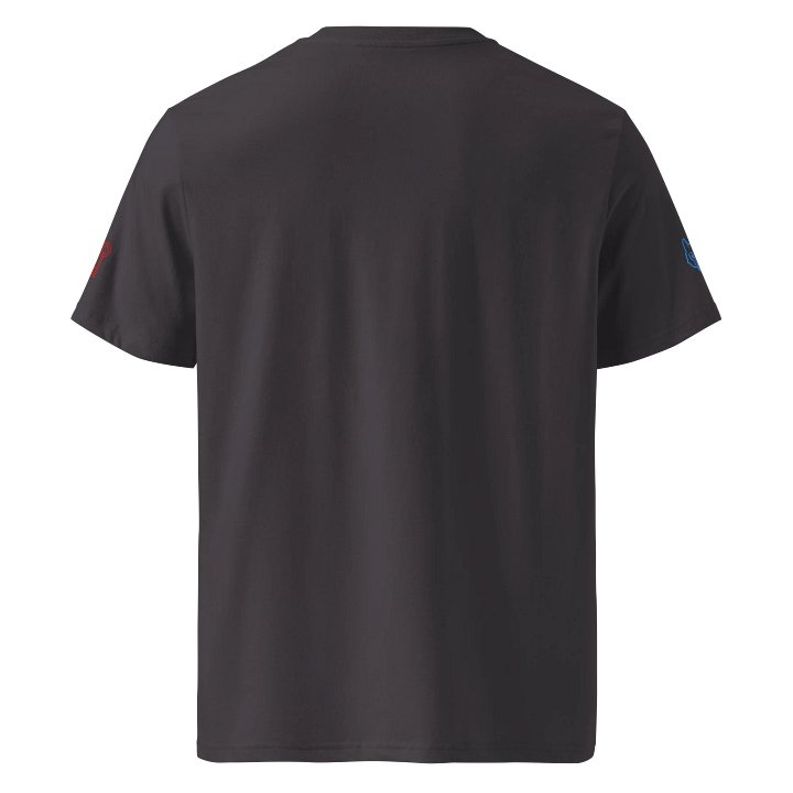 The Paranormal Investigator Shirt product image (19)