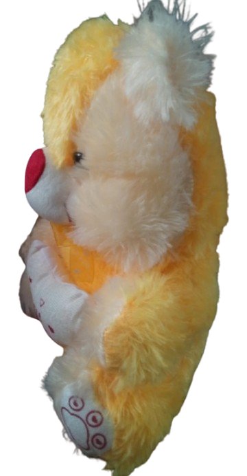 Teddy Bear product image (4)