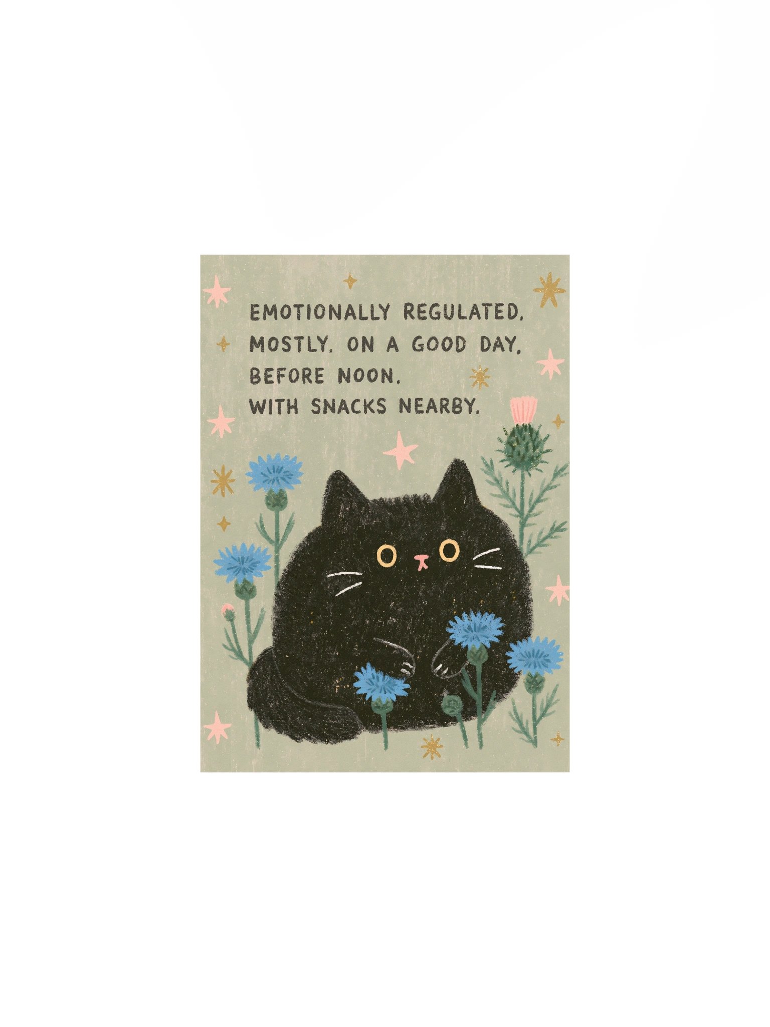 Mostly Regulated Cat Poster product image (4)