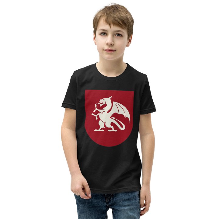 House Drois Children's Tee Shirt product image (1)