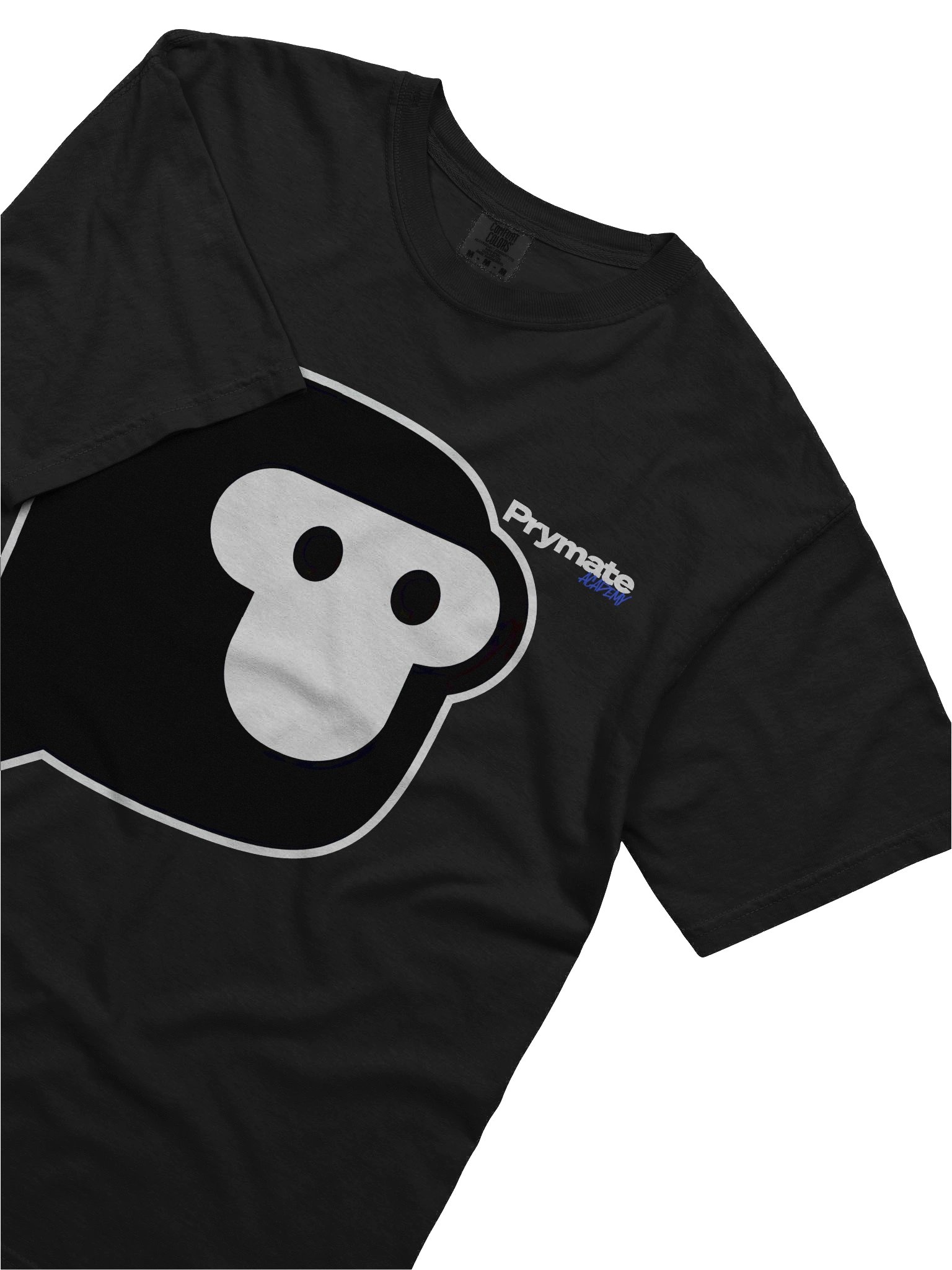 Logo Academy Tee product image (28)