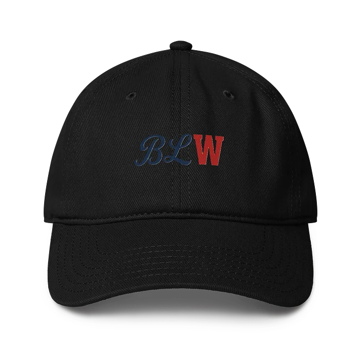 BLW HAT product image (1)