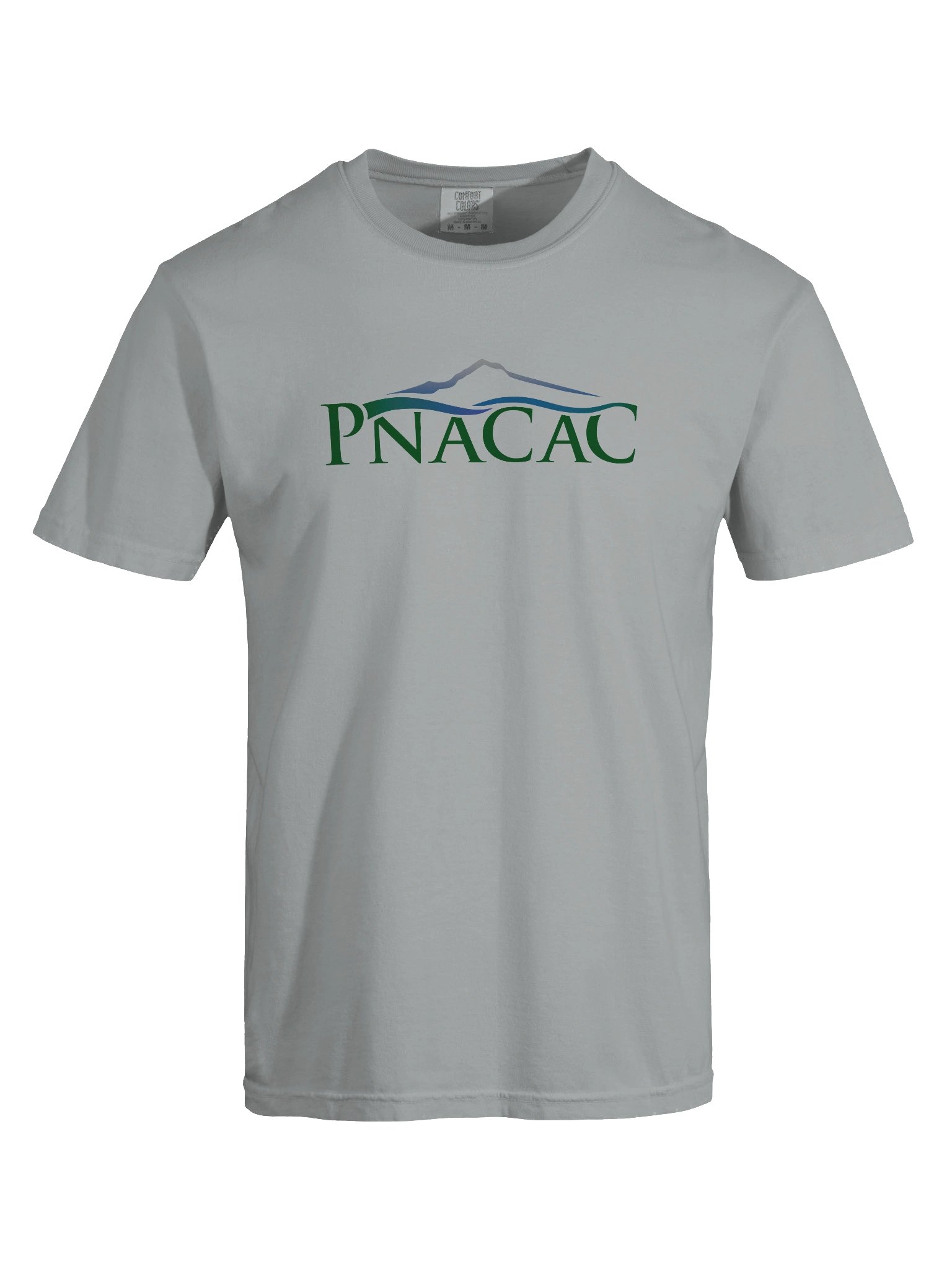 Heavyweight Tee - Color Logo product image (17)