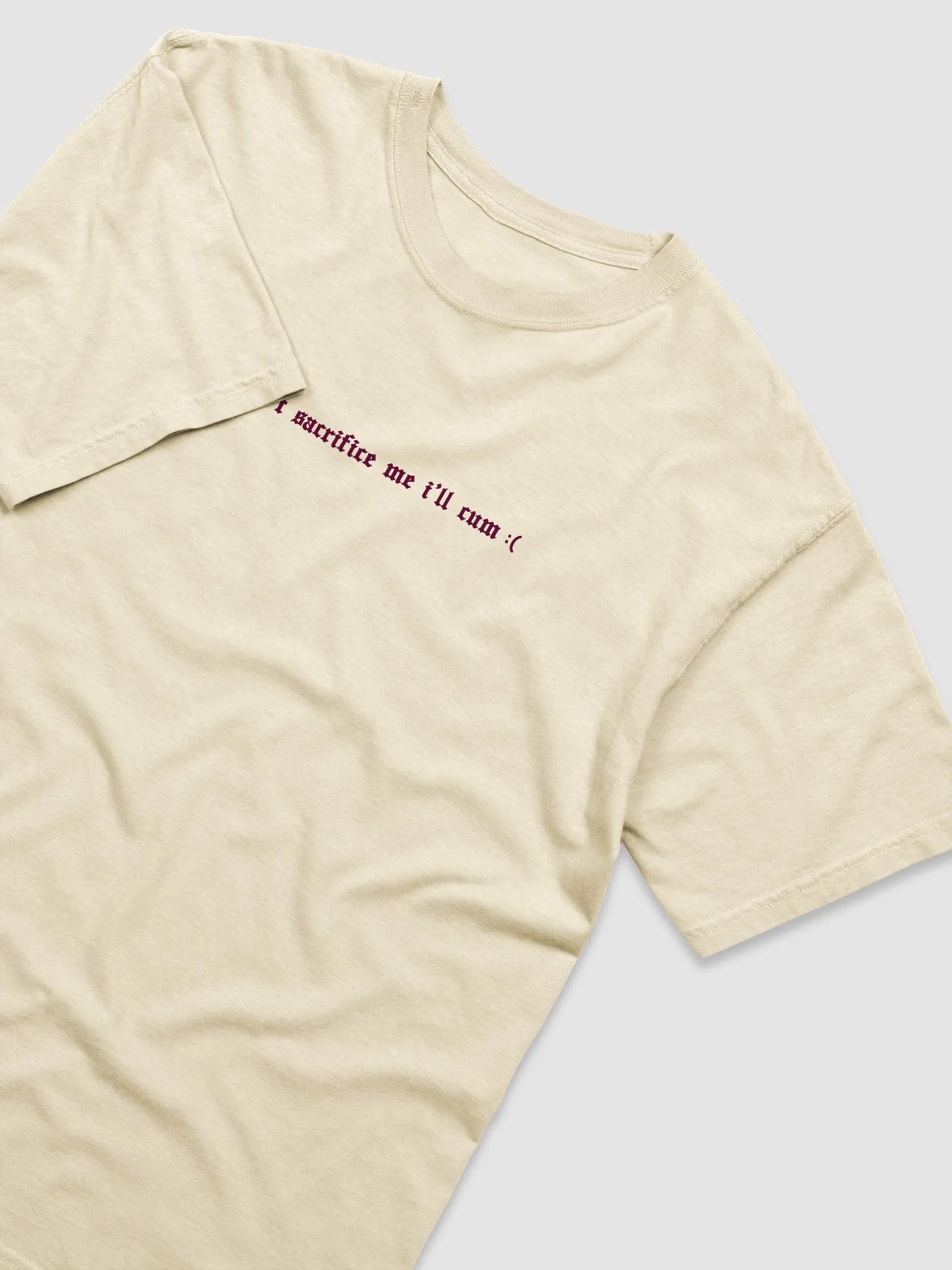 'Don't Sacrifice Me I'll Cum :(' T shirt (light colours / 2 Colours Available) product image (3)