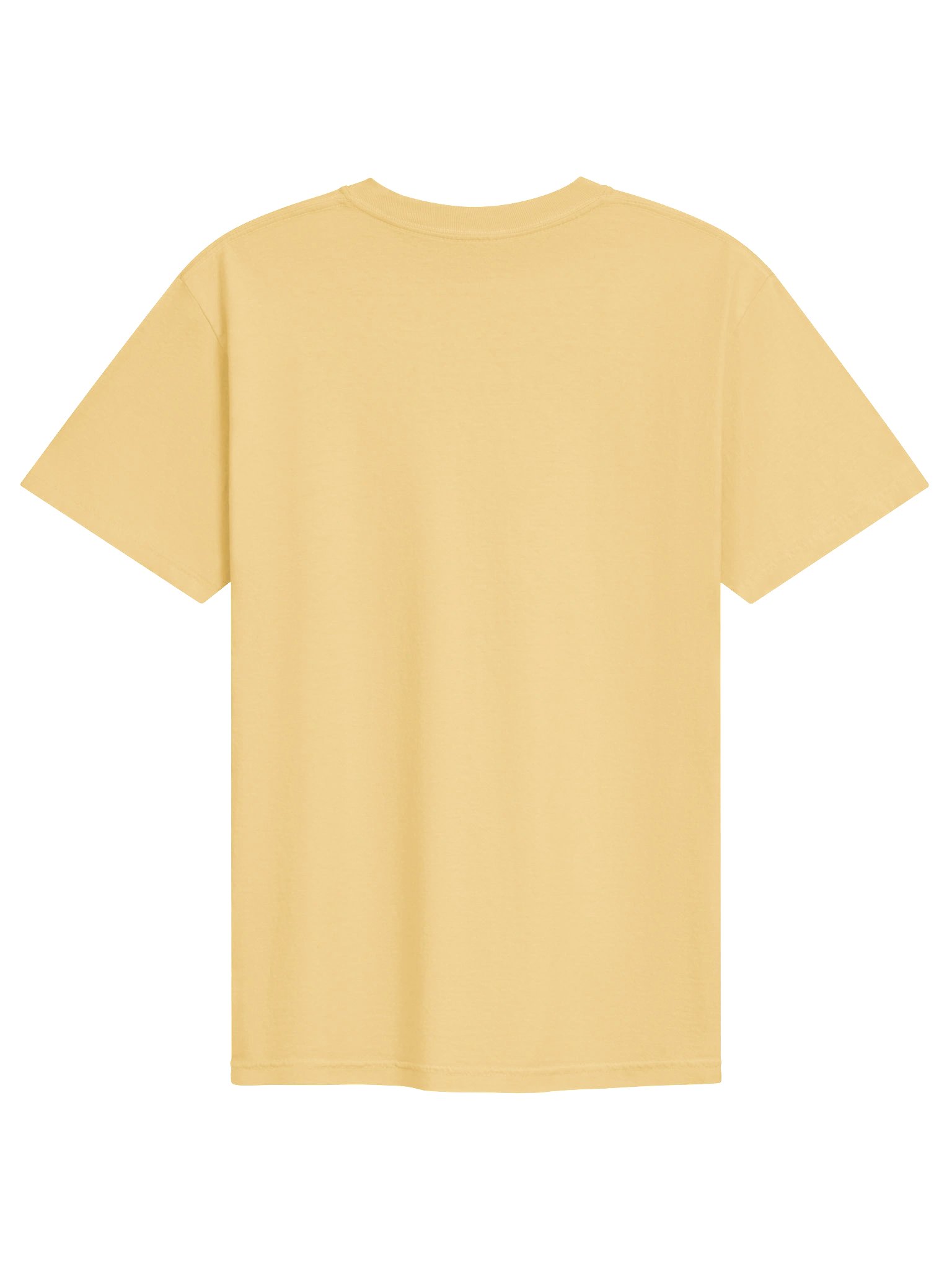 The Moldy Bigots Tee product image (50)