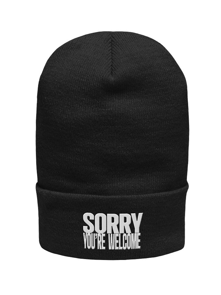 Sorry, You're Welcome (Embroidered Beanie) product image (1)