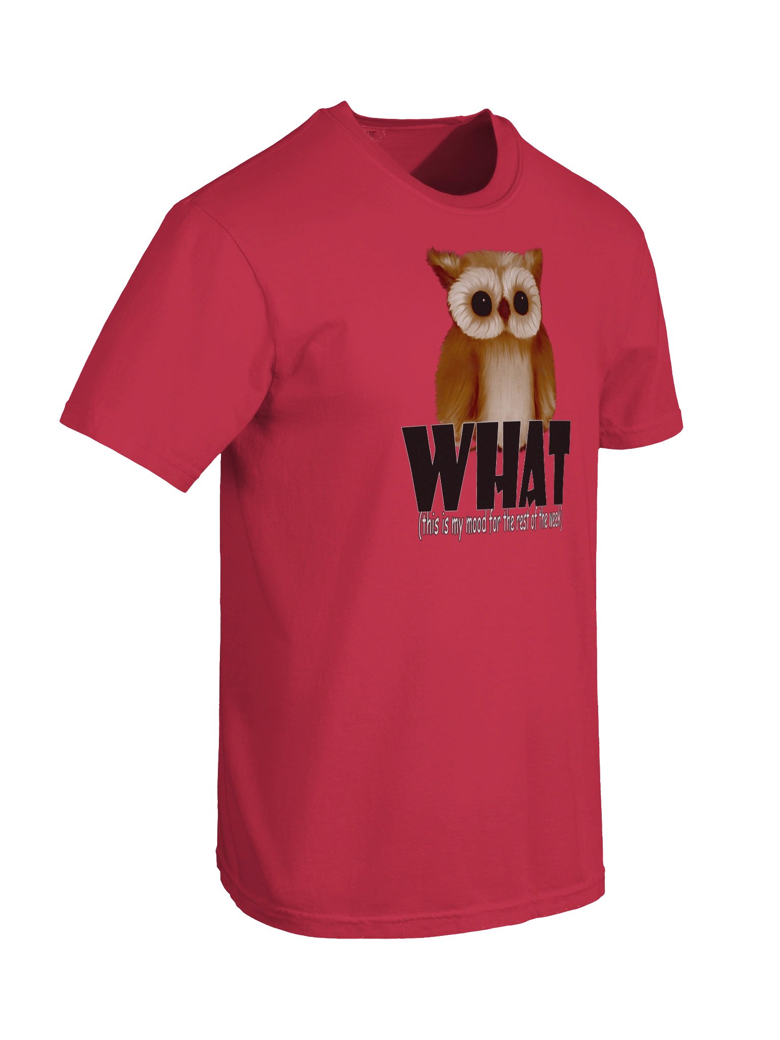 Men's Comfort Colors Garment-Dyed Heavyweight T-Shirt product image (44)
