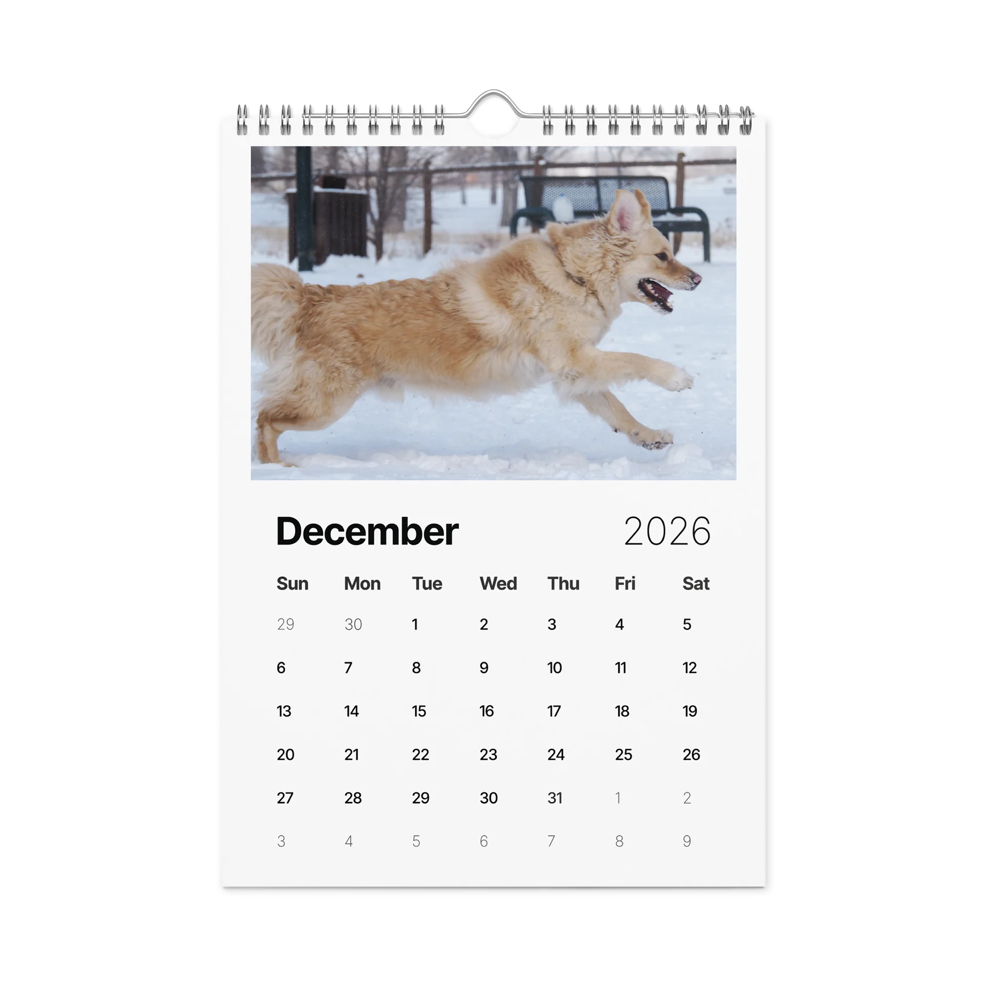 Milo's Life 2026 Wall Calendar product image (8)
