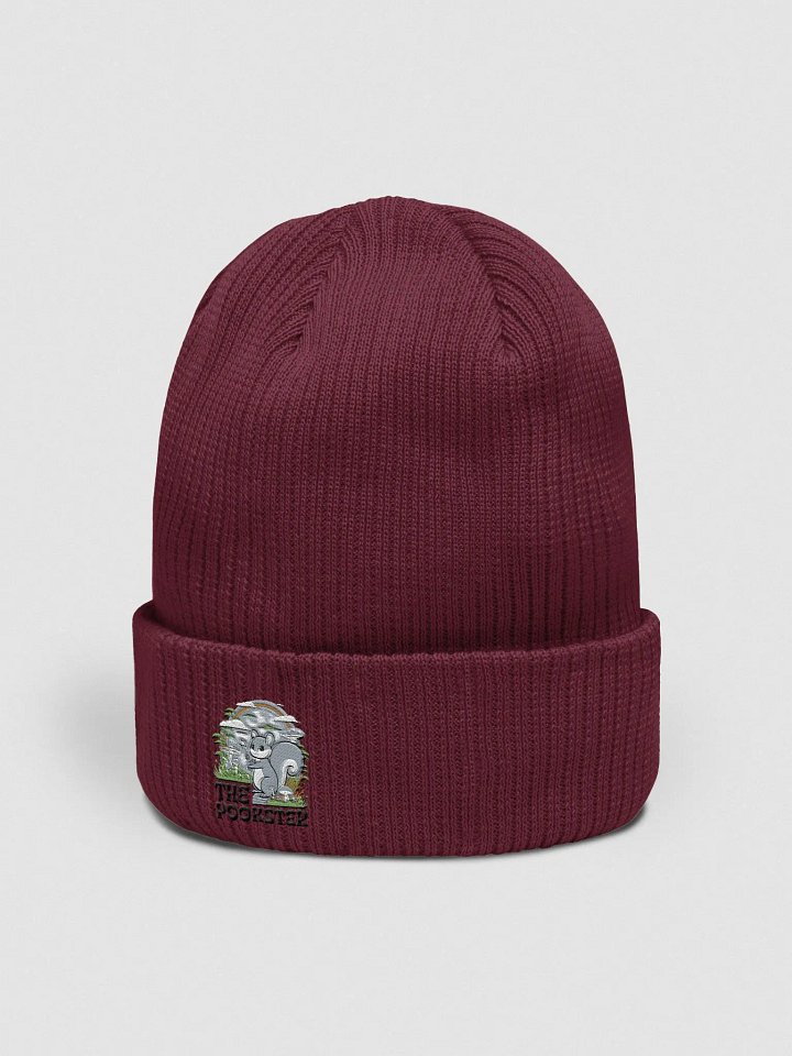 Organic Cotton Embroidered Beanie: Pooky and his wand product image (2)