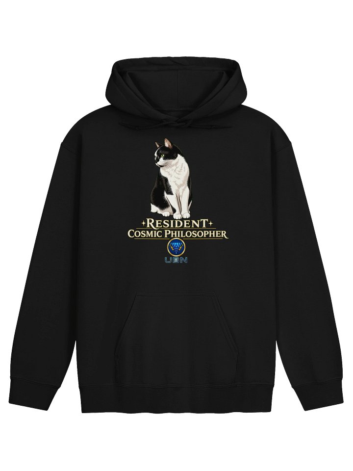 Mister Kitty Cosmic Hoodie product image (1)