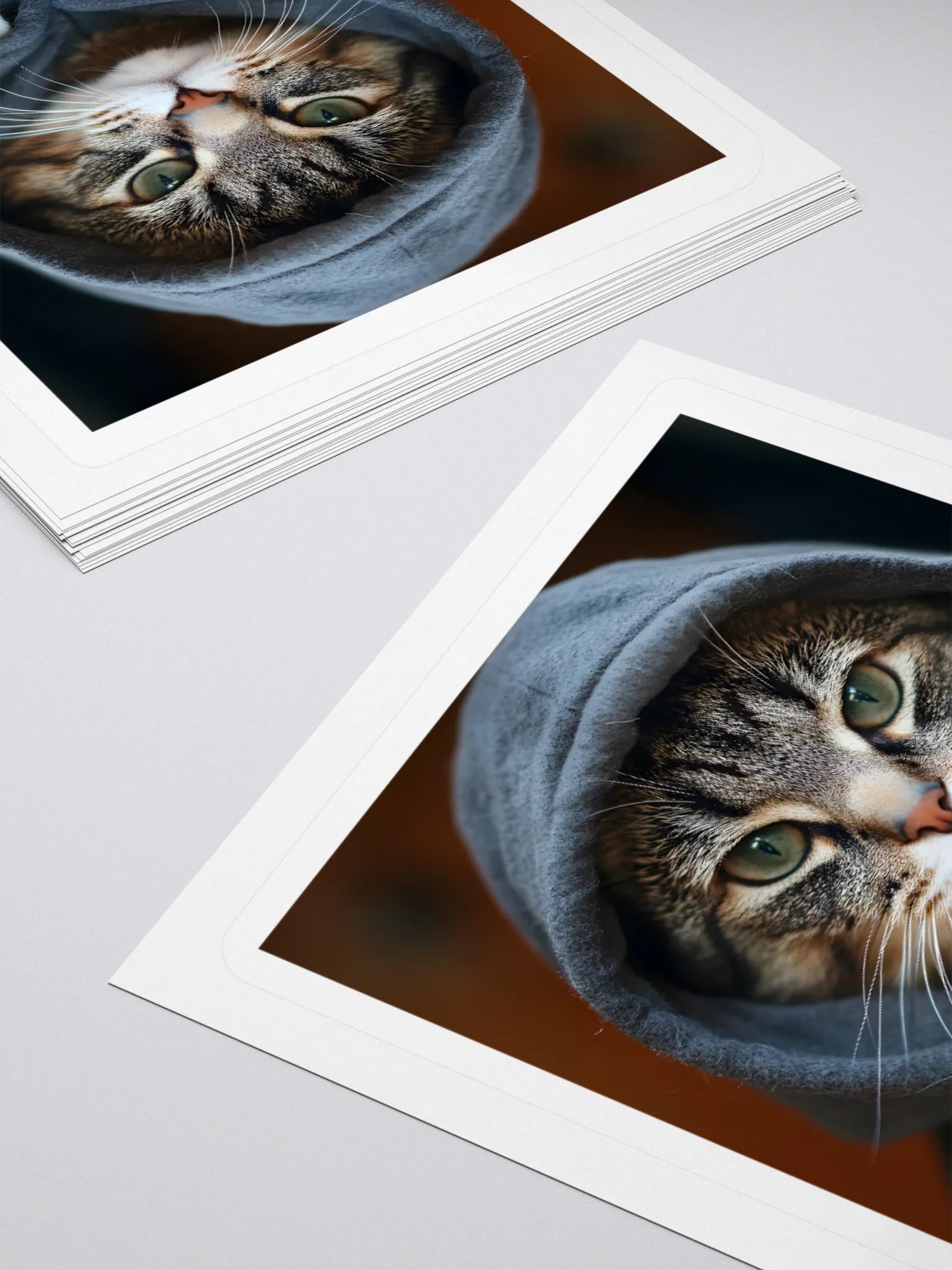 Hacker Cat product image (11)