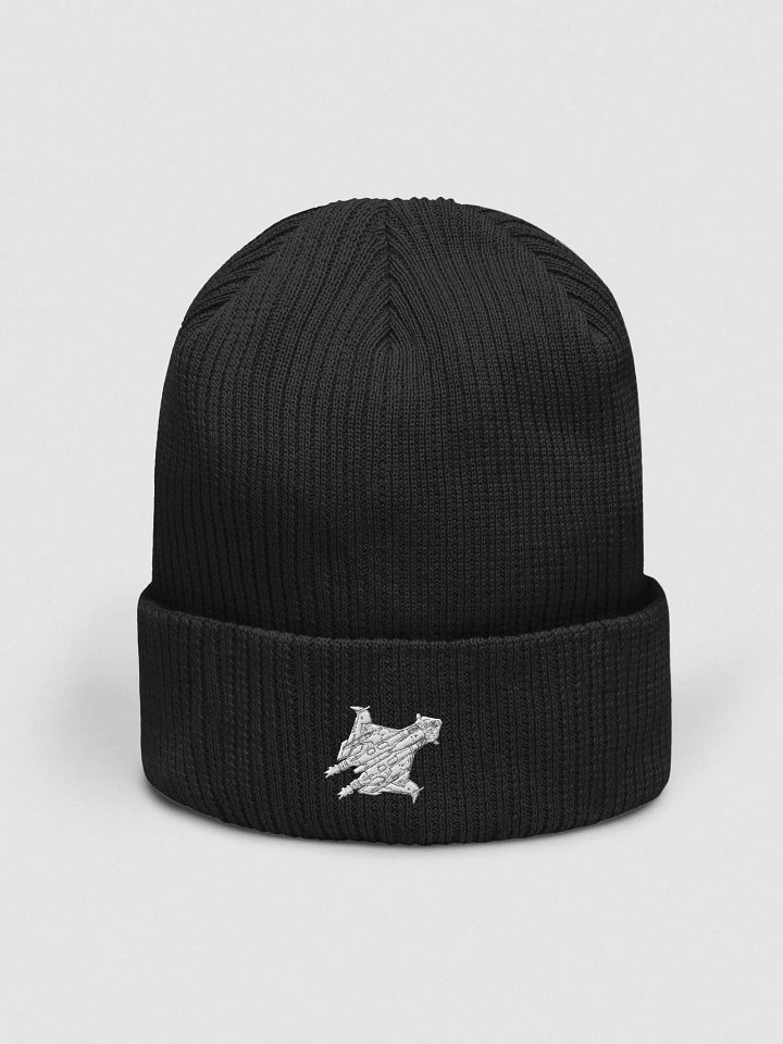 Gladius Beanie product image (1)