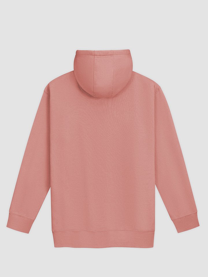 Don't Owe You Unisex Hoodie product image (2)