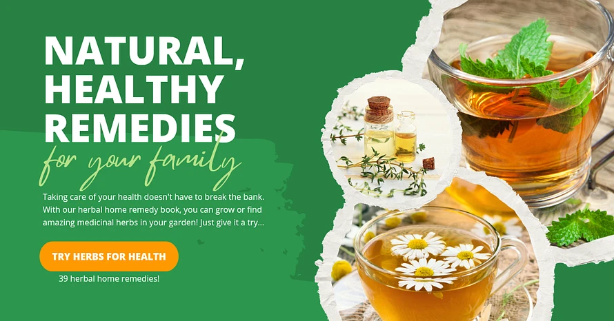 herbal infusions