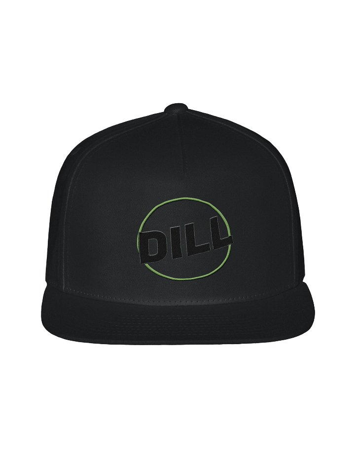 Dill's Logo Embroidered Flat Cap product image (2)