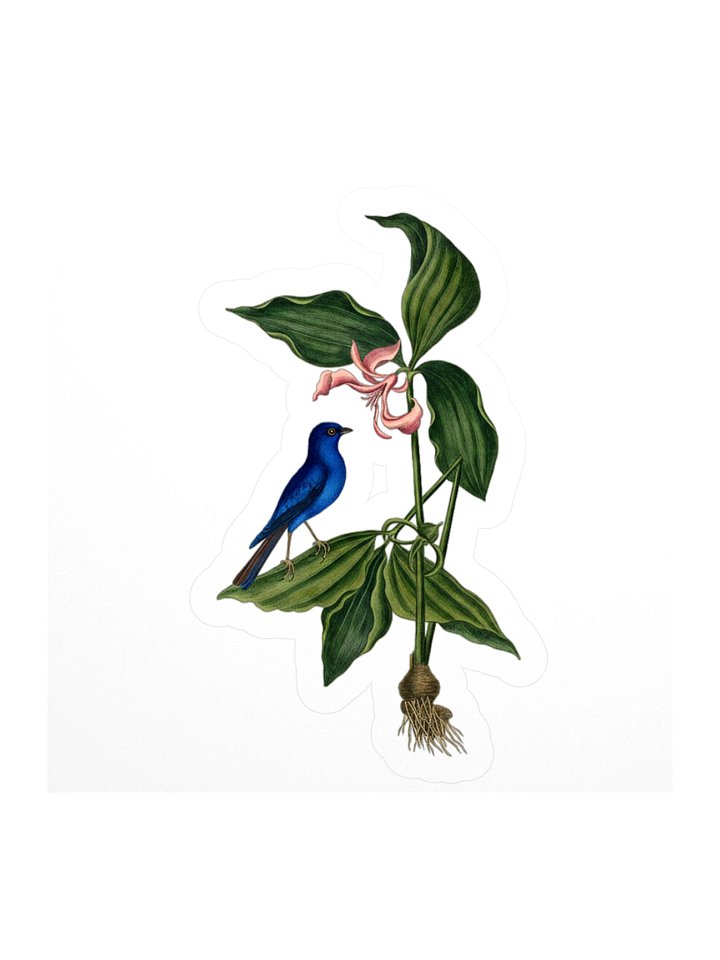 Trillium & Bunting Sticker product image (1)