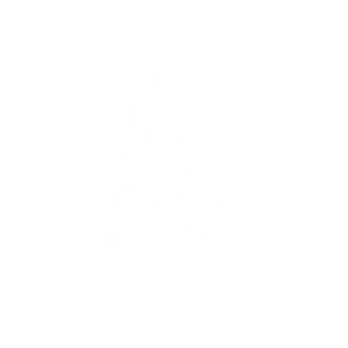 BRINDLY dot ART | Shop