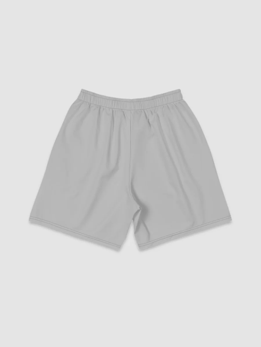 SS'23 Shorts - Gray product image (2)