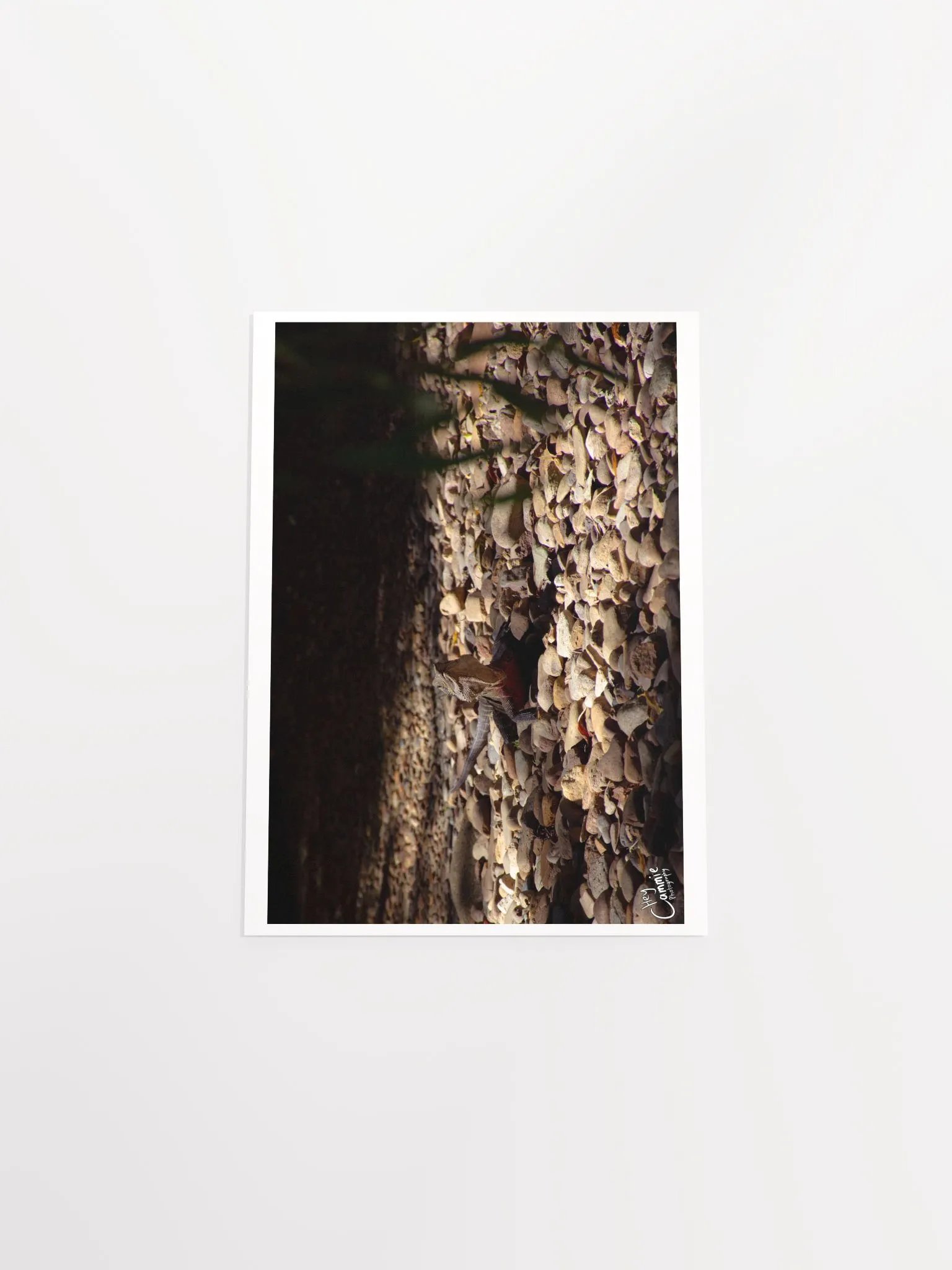 The Lizard King - Print product image (4)