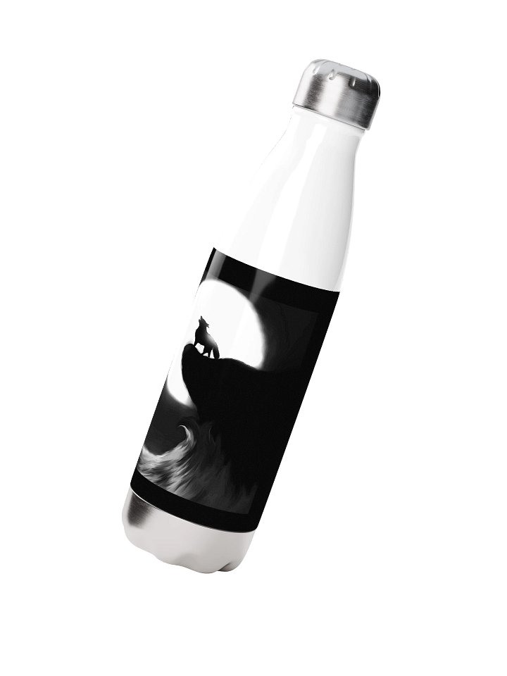 Stainless Steel Water Bottle product image (2)