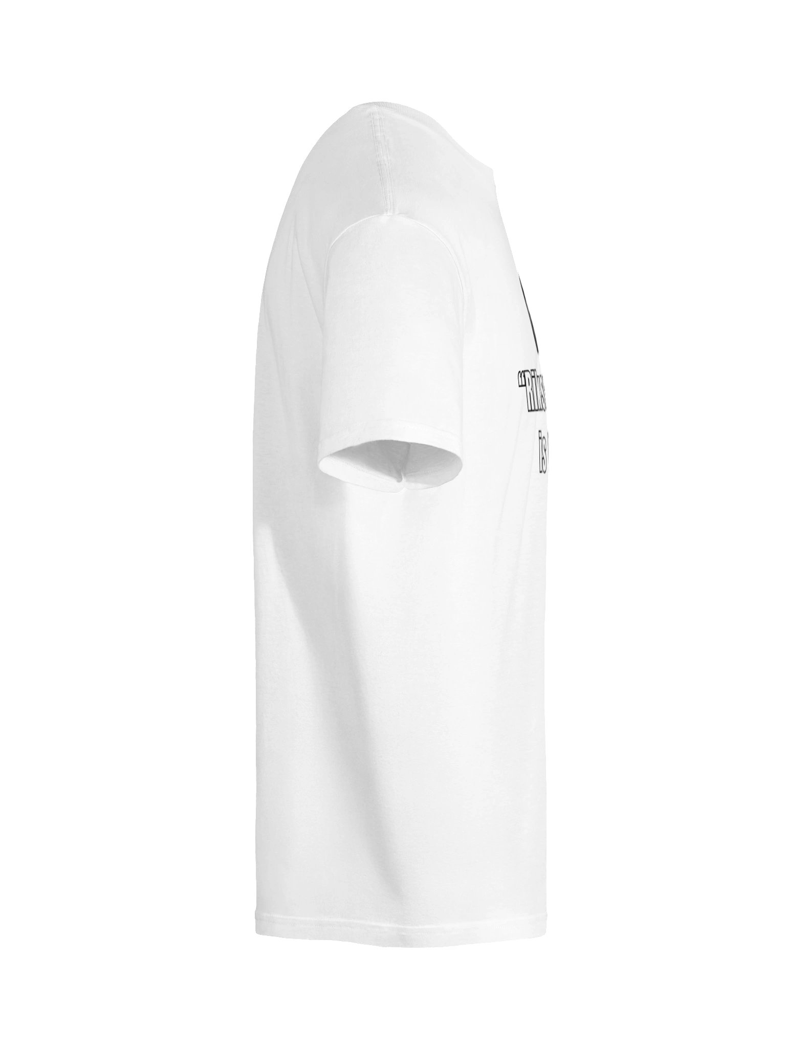 Riksrevisionen is the shit (Herr T-shirt) product image (145)