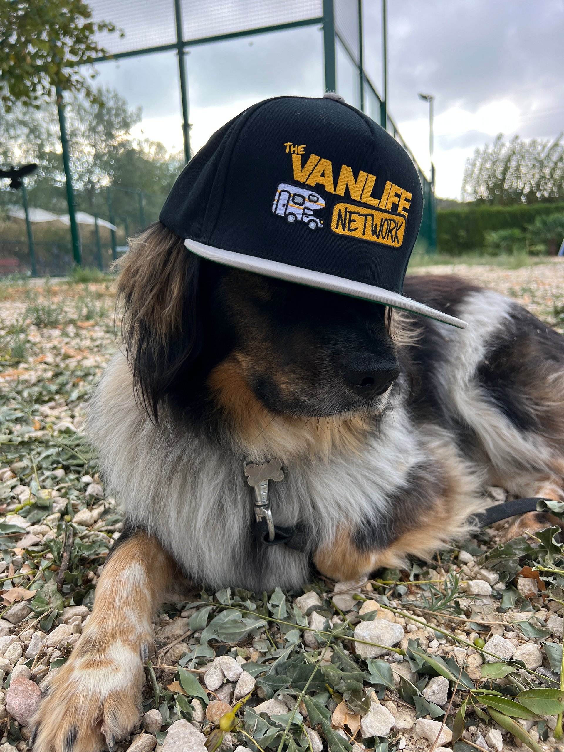 TVLN – Classic Cap (Flat Brim) product image (1)