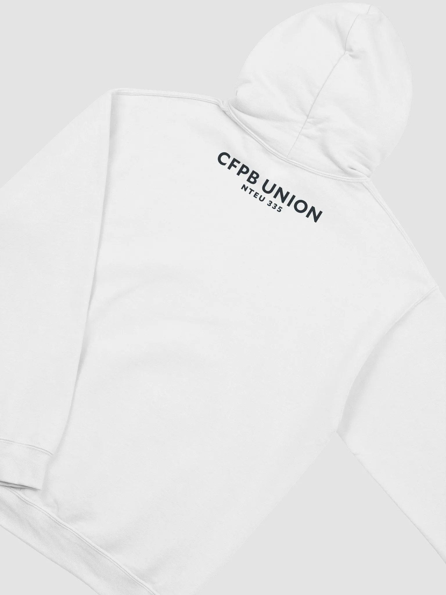 CFPB Piggy Bank Picket Hoodie product image (3)